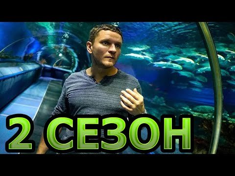 Дельфин 2 сезон 16 серия